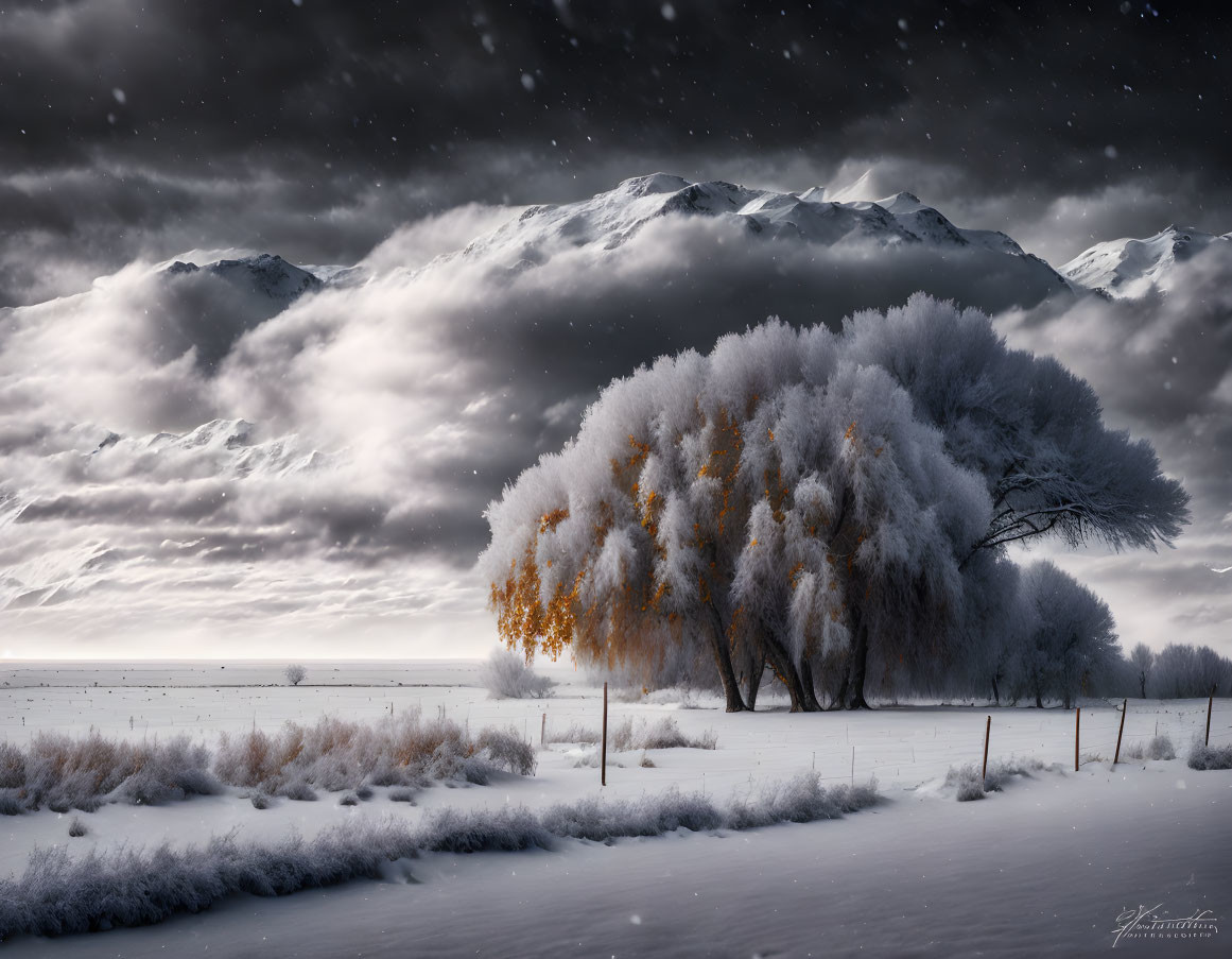 Snow-covered winter landscape with frosted trees and dramatic sky.