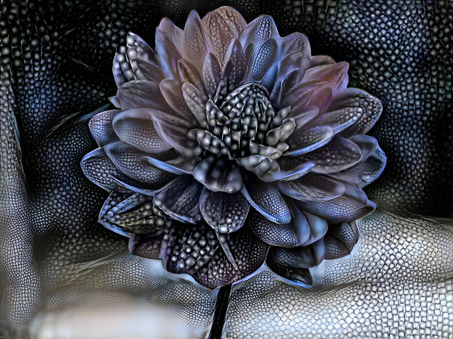 Dark flower