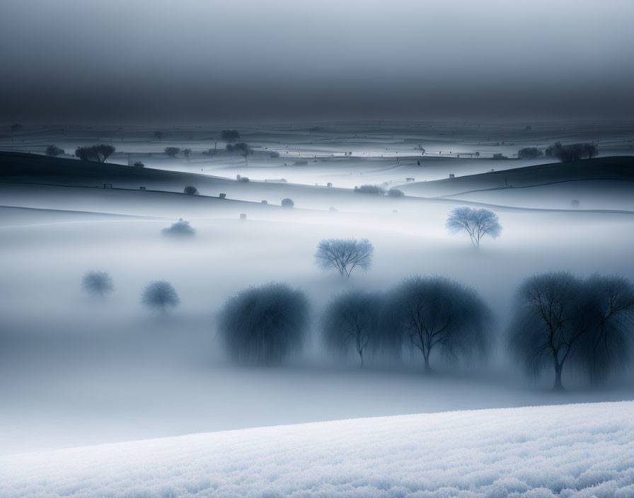 Tranquil Blue Monochrome Landscape with Misty Atmosphere