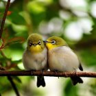 Colorful Birds Perched on Branch with Verdant Leaves and Soft Sunlight