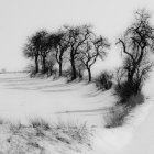 Whimsical winter landscape with fluffy trees and frozen lake