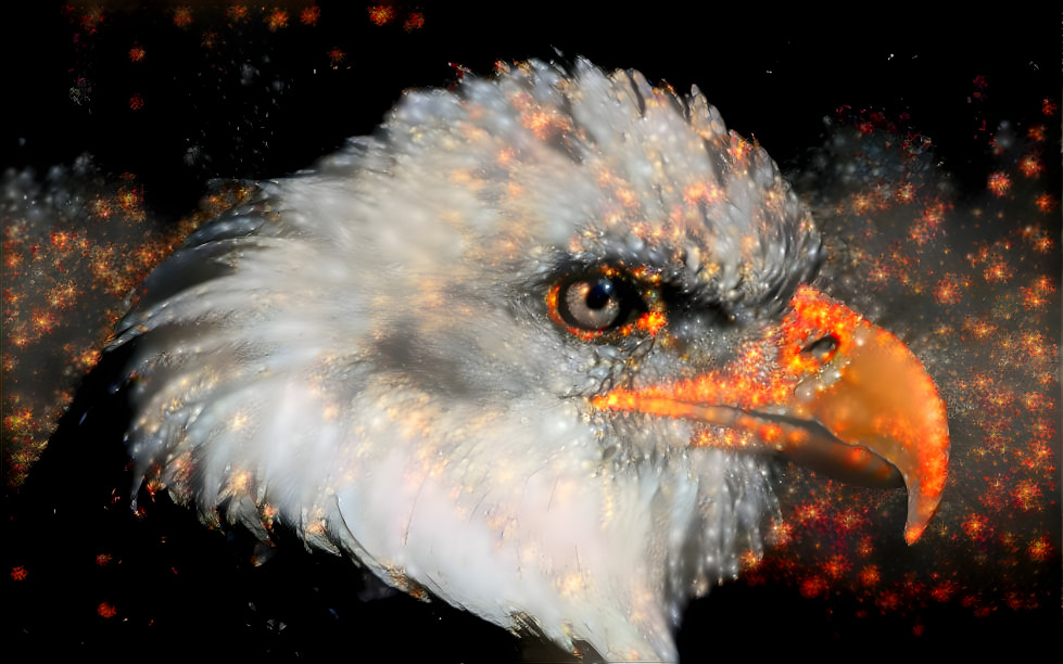 Fire Eagle