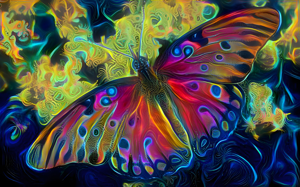 Colorful Butterfly 