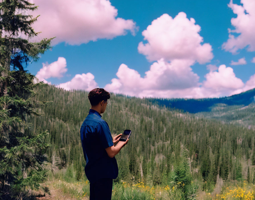 Person in meadow with smartphone, green forests, and clouds.