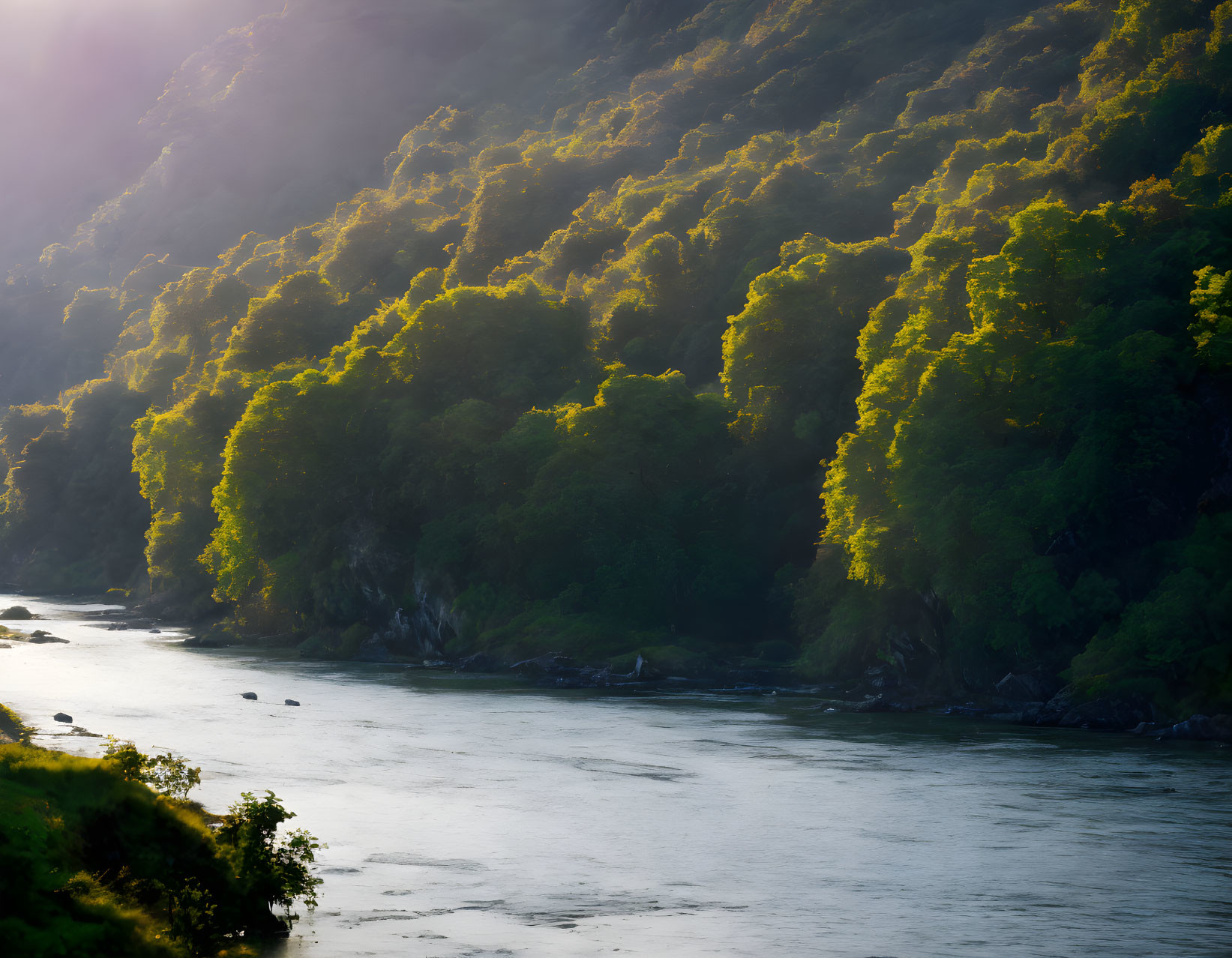 Sunlight on verdant hills and a winding river in a forested landscape