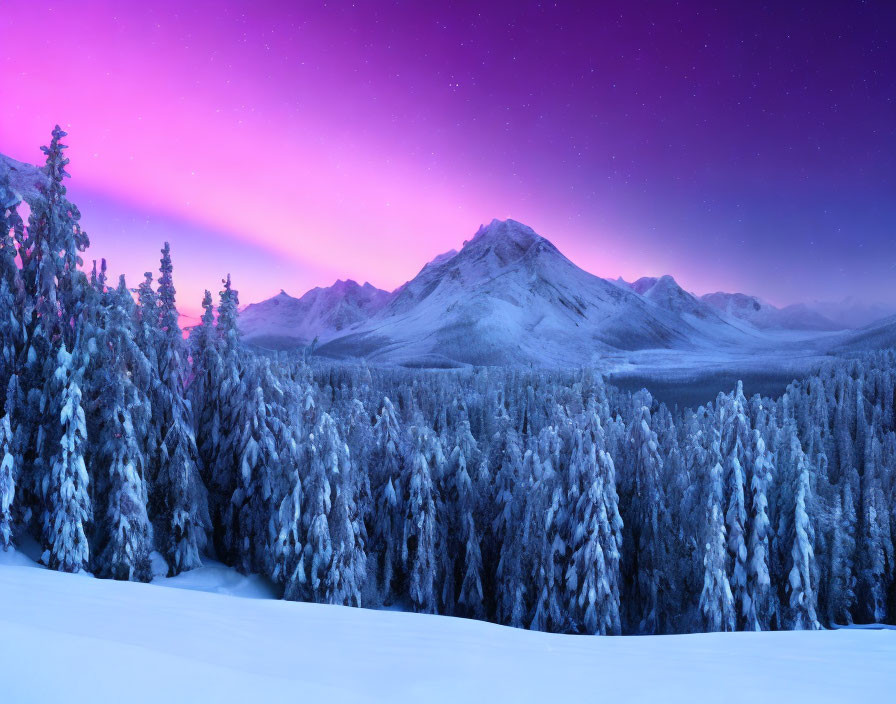 Snow-covered trees and mountains under a starry sky in a winter night landscape.