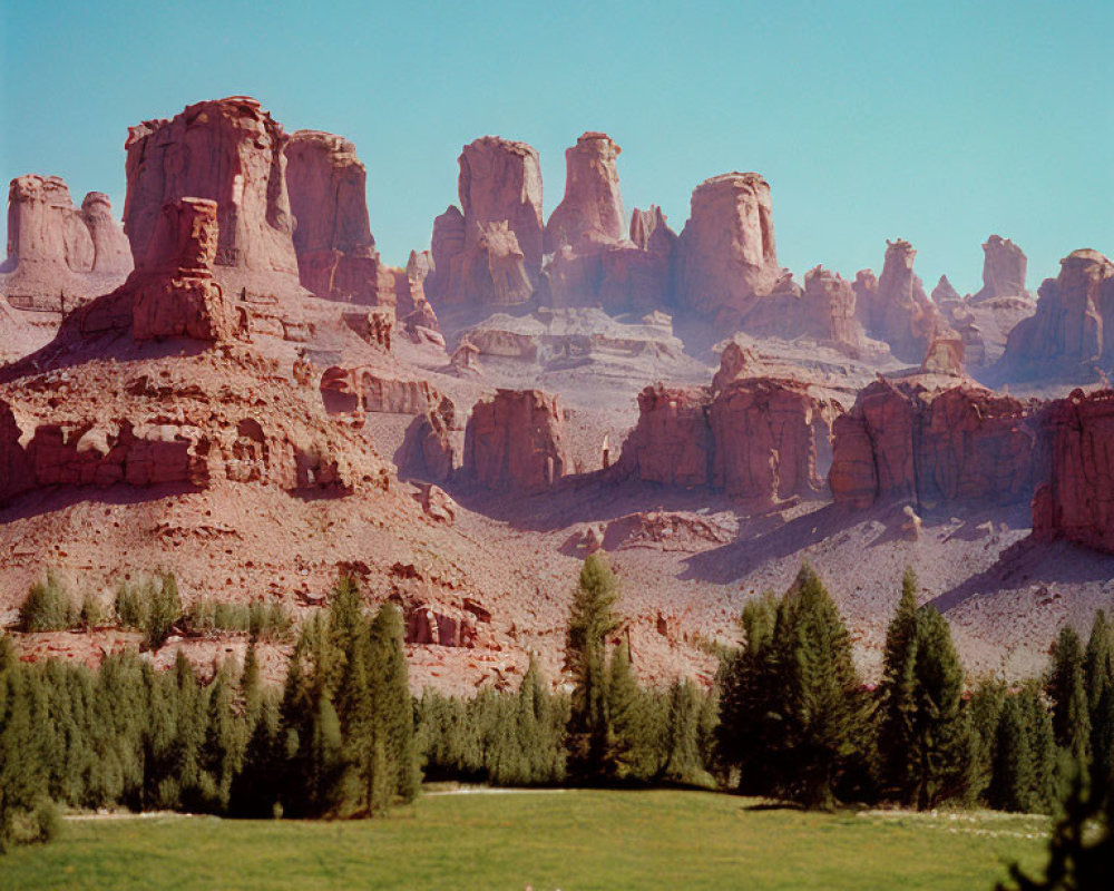 Tranquil meadow scene with solitary dog, evergreens, red rocks, and blue sky