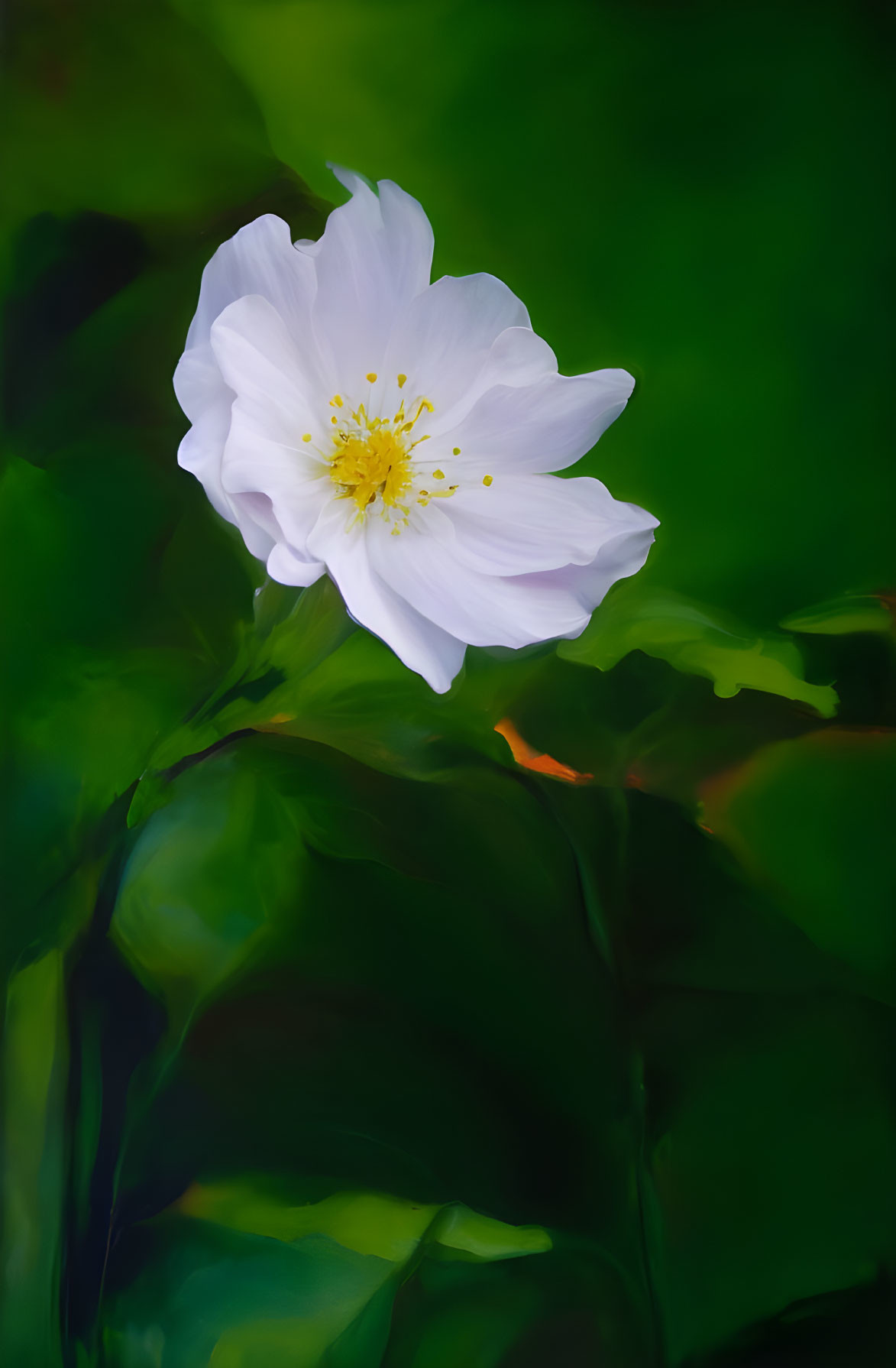 White Flower with Yellow Center on Soft Green Background