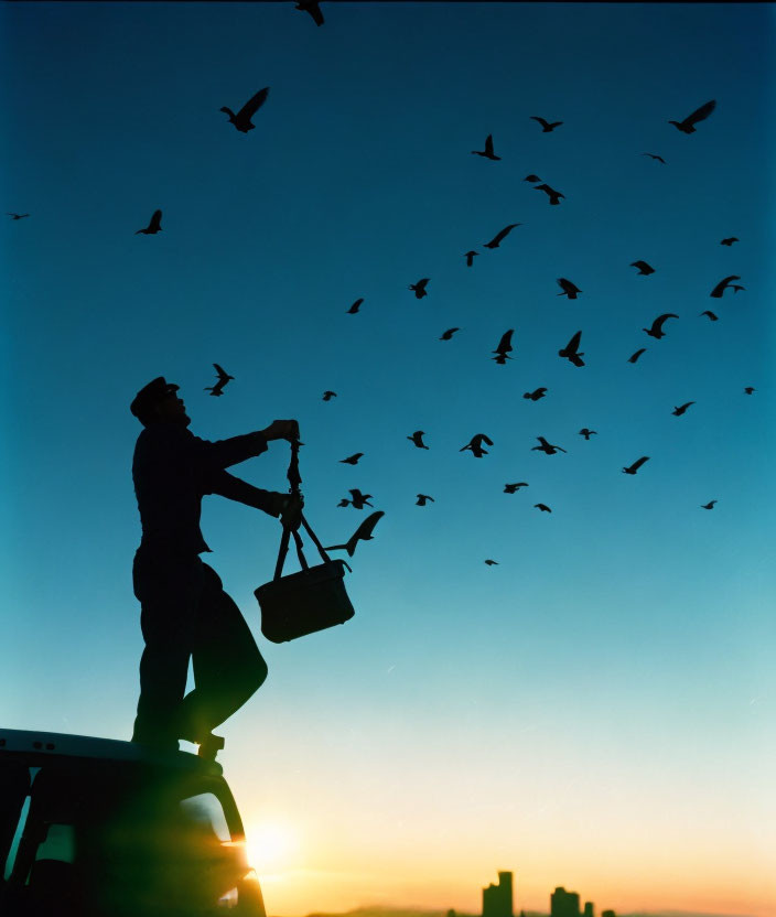 Person on Vehicle's Roof Releasing Birds at Sunset