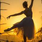 Colorful Ballet Dancer Painting with Sunset Landscape