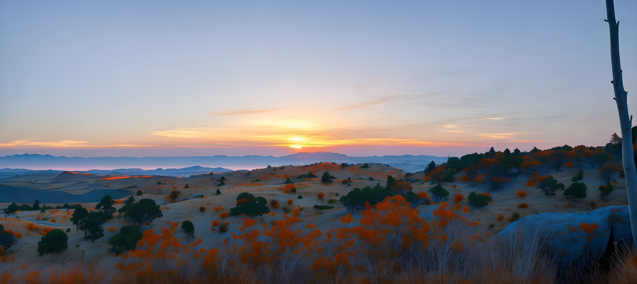 Tranquil sunset over rolling hills with silhouetted trees and rocks