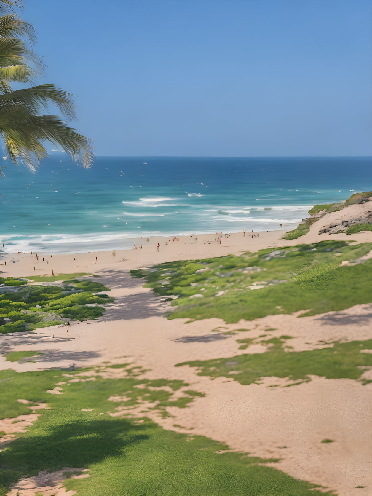 Sunny tropical beach scene with palm trees and turquoise waters