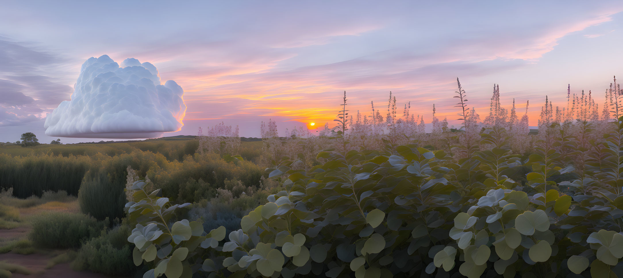 Panoramic sunset landscape with vibrant skies and lone cloud.