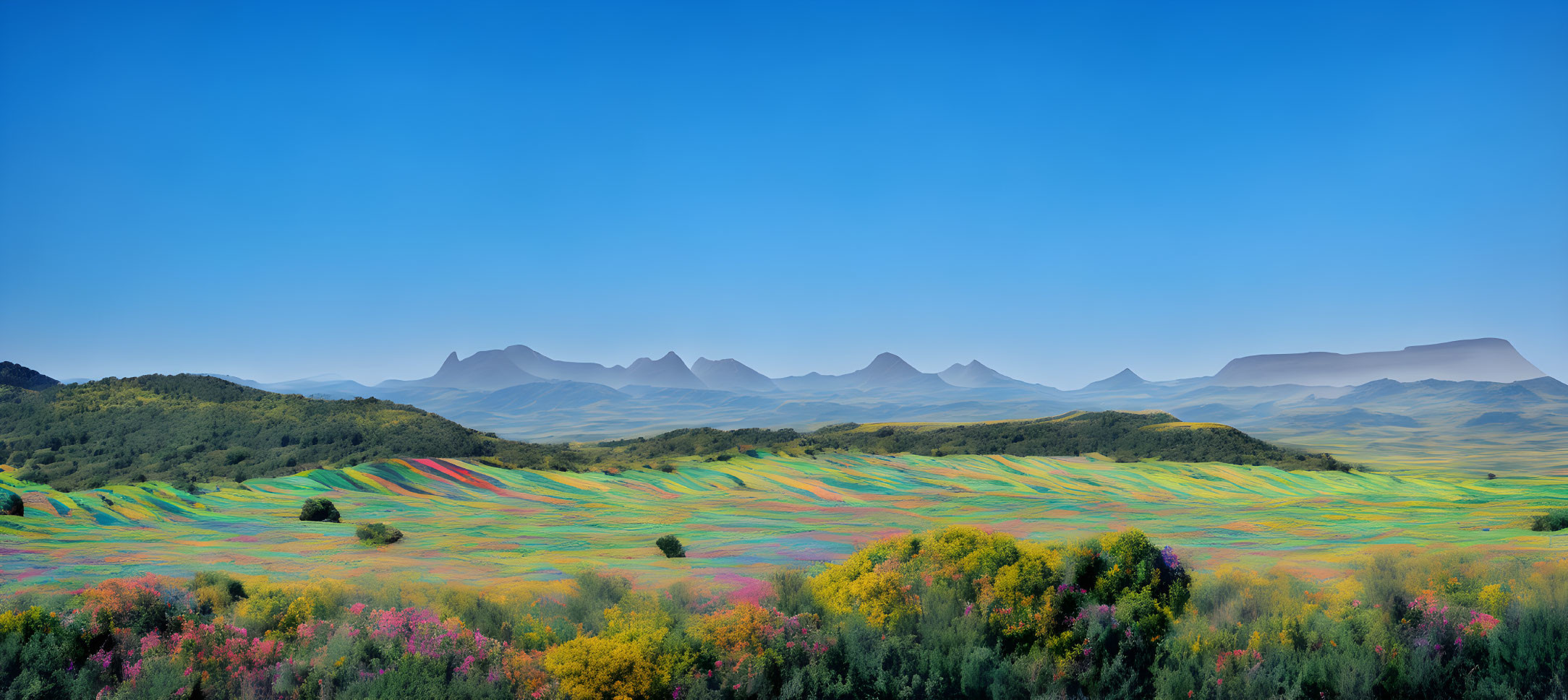 Colorful Patterned Fields in Misty Mountain Landscape