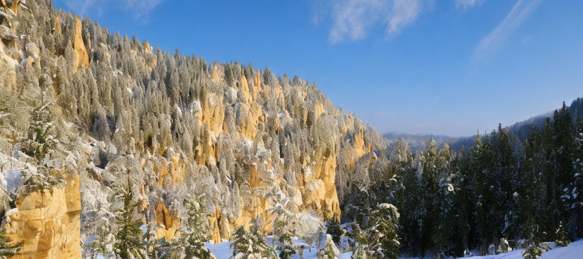 Snow-covered forest and cliffs in panoramic winter landscape