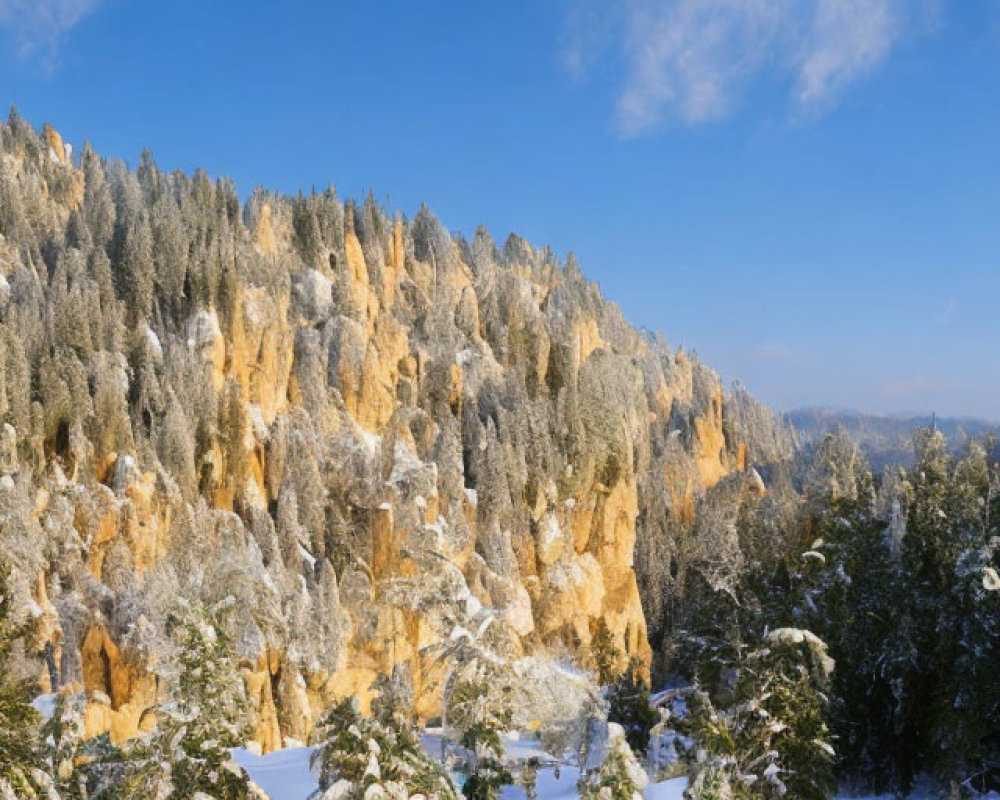 Snow-covered forest and cliffs in panoramic winter landscape