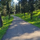 Scenic winding road through lush green landscape