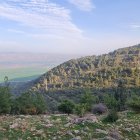 Panoramic fantasy landscape: vibrant flowers, lush hills, misty mountains.