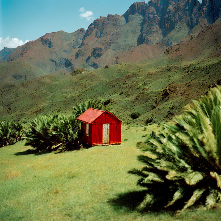 Isolated red shed on lush green meadow with mountain backdrop