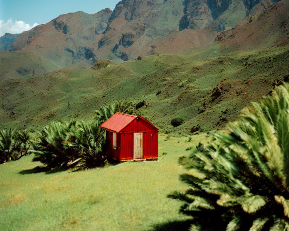 Isolated red shed on lush green meadow with mountain backdrop