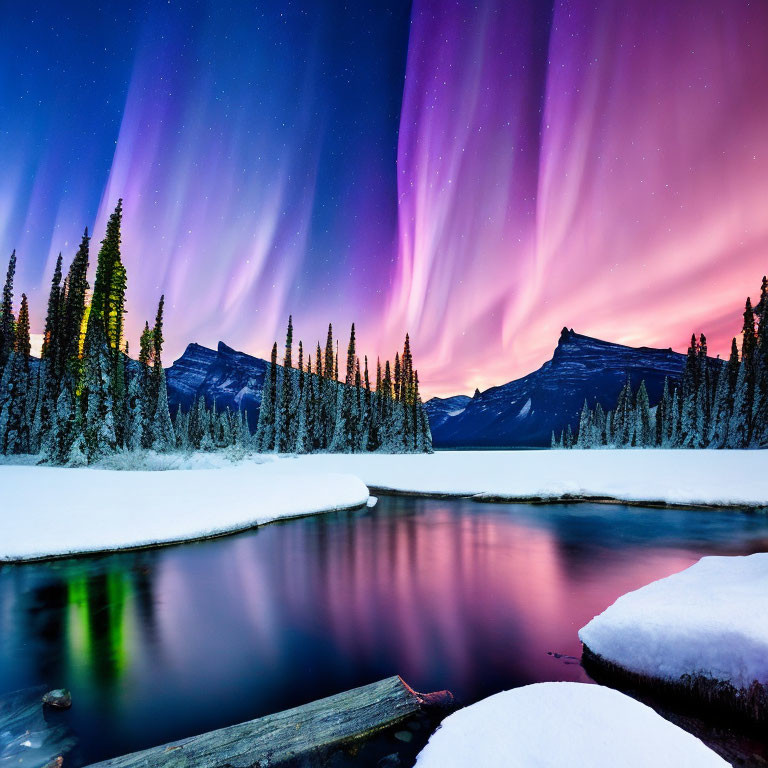 Spectacular Aurora Borealis Over Snowy Landscape