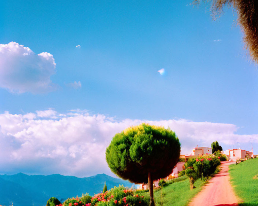 Scenic rural landscape with red dirt road and hilltop village