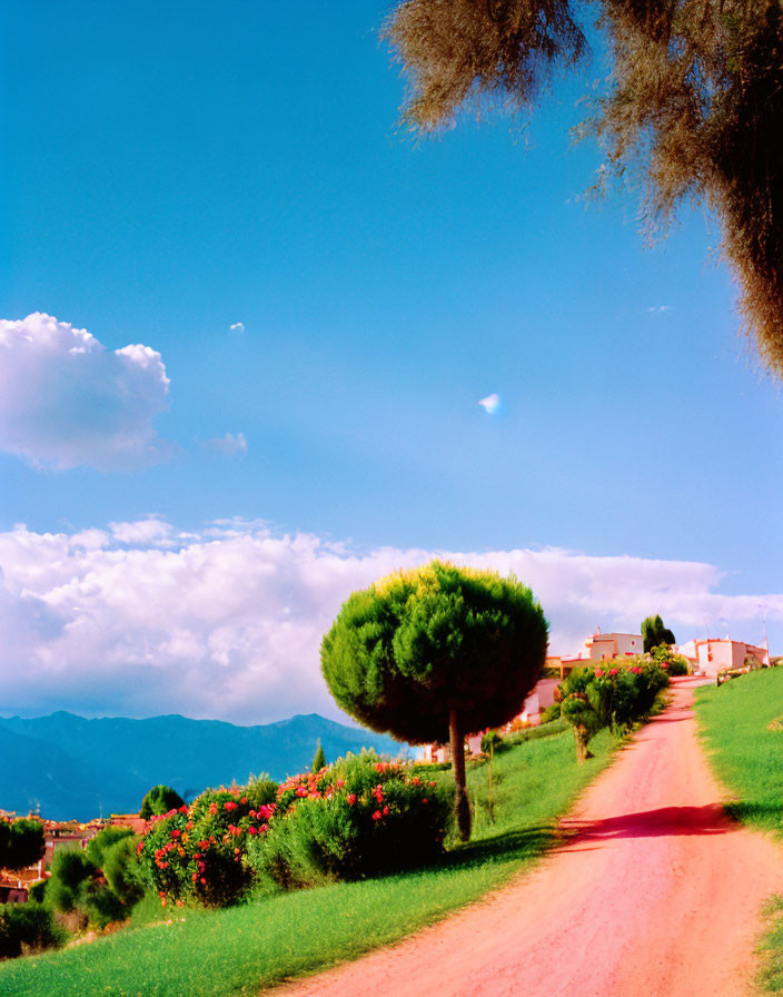 Scenic rural landscape with red dirt road and hilltop village