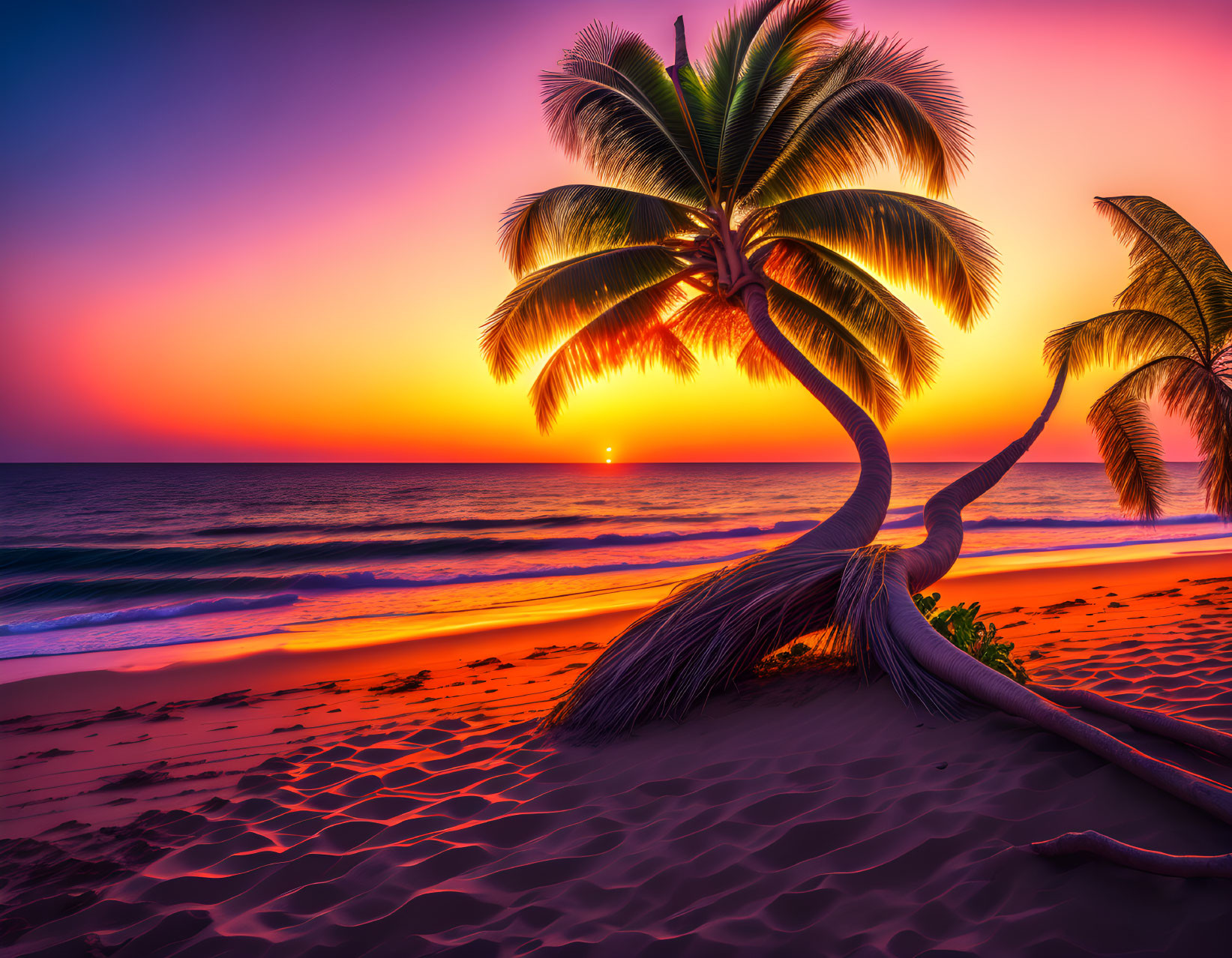 Vibrant sunset beach scene with bent palm tree and colorful sky