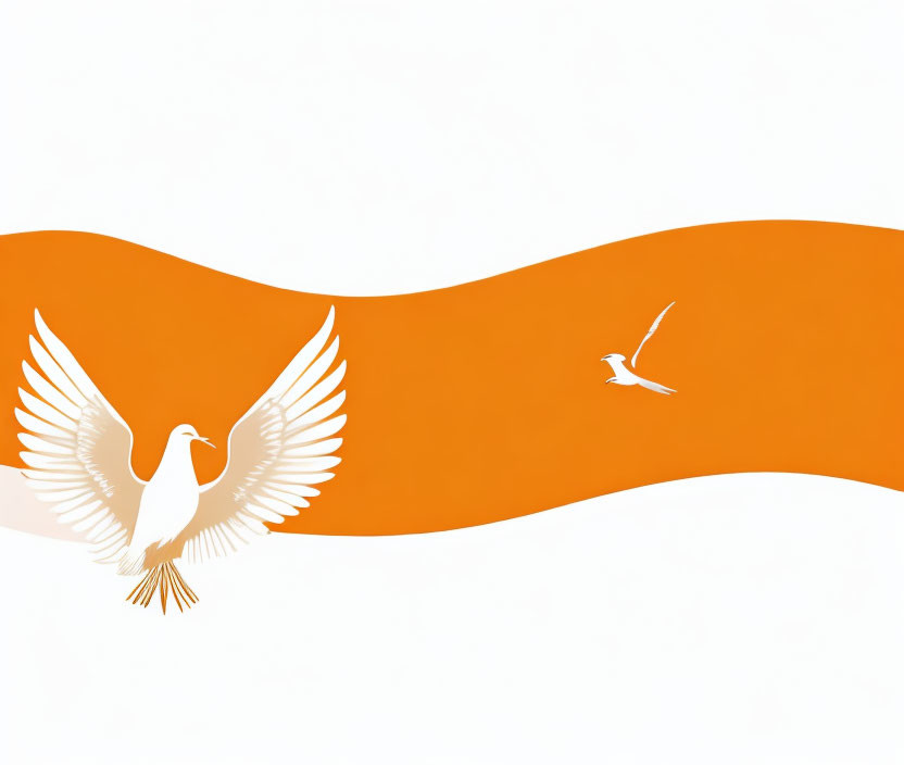 Detailed illustration of two white doves in flight on orange and white backdrop