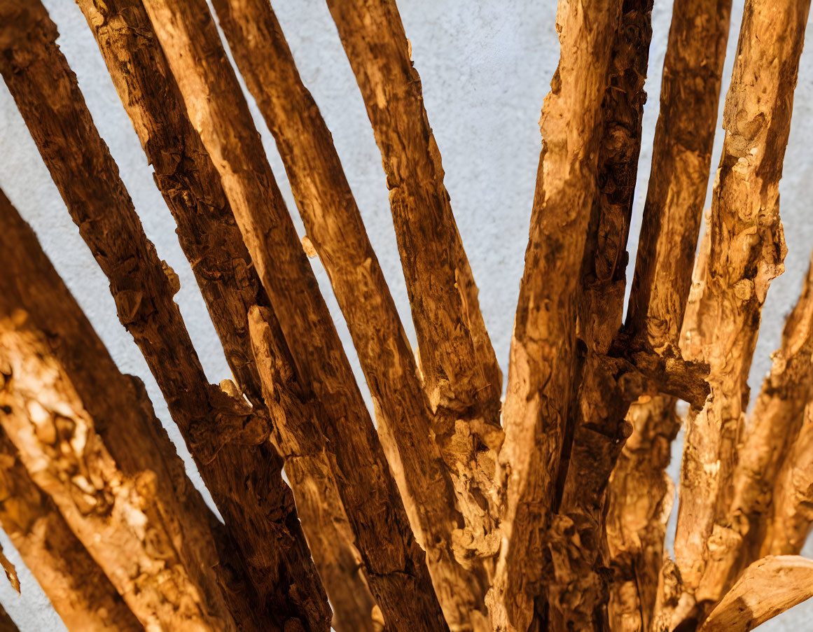 Weathered wooden beams with textured surface and visible wood grain on white background