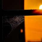 Contrasting Split-Image: Dark Path to Cozy House & Couple on Rooftop at Sunset