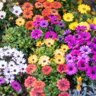 Colorful birds on tree with flowers: A vibrant nature scene