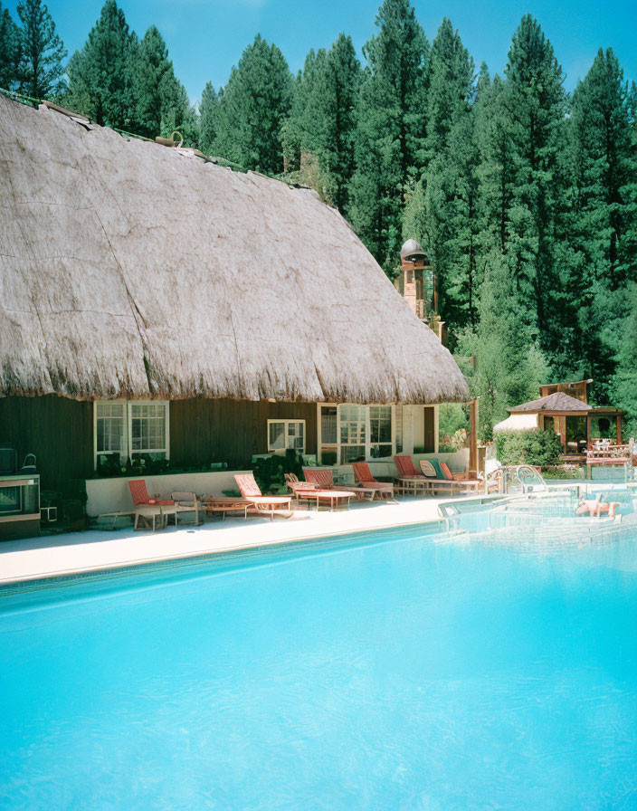 Serene outdoor pool with blue waters, red lounge chairs, thatched-roof building, and green