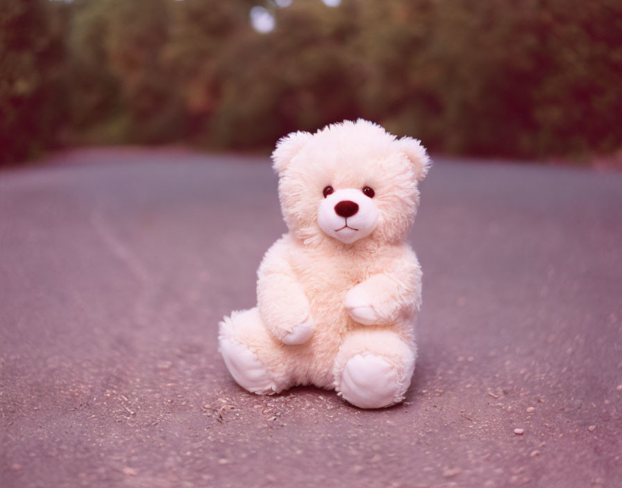 Beige Teddy Bear Sitting on Asphalt Road with Blurred Background