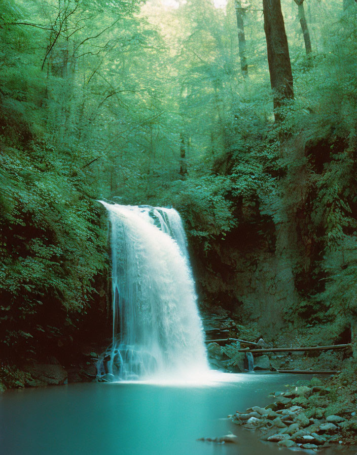 Tranquil waterfall surrounded by lush forest and wooden bridge