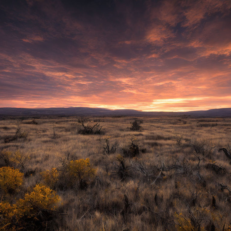 Tranquil sunset over serene field with warm hues