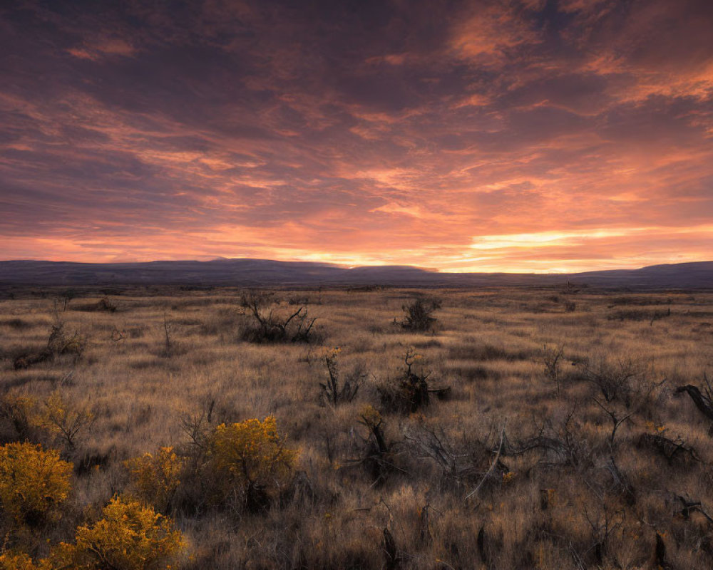 Tranquil sunset over serene field with warm hues