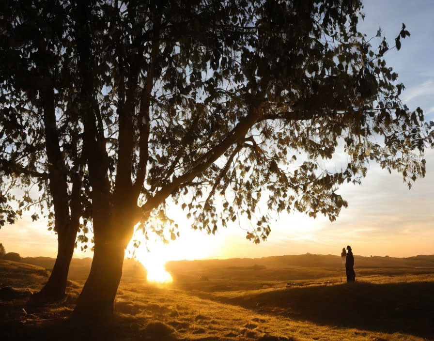 Silhouetted Couple Under Tree at Golden Sunset