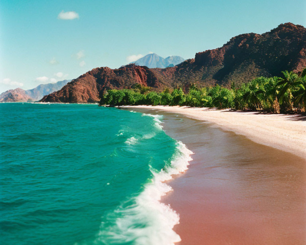 Scenic Tropical Beach with Palm Trees, Rocky Cliffs, Blue Sea, and Mountain