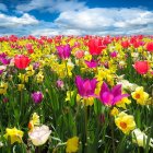 Vibrant painting of stylized hills, flowers, leaves under starry sky