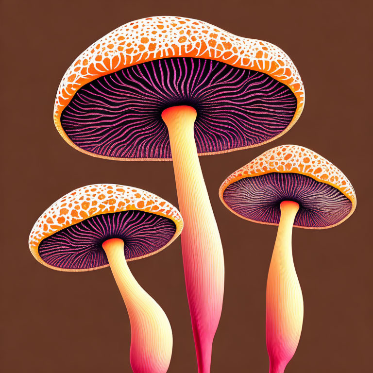 Stylized mushrooms with orange caps and pink gills on brown background