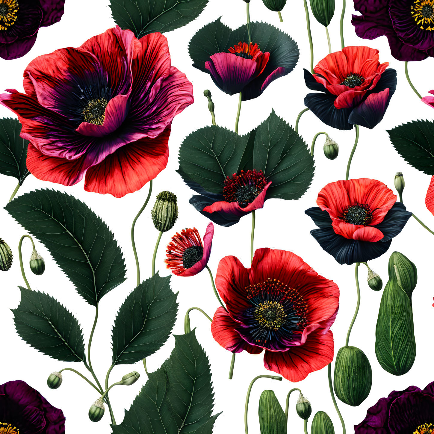 Detailed Red Poppies Pattern on White Background