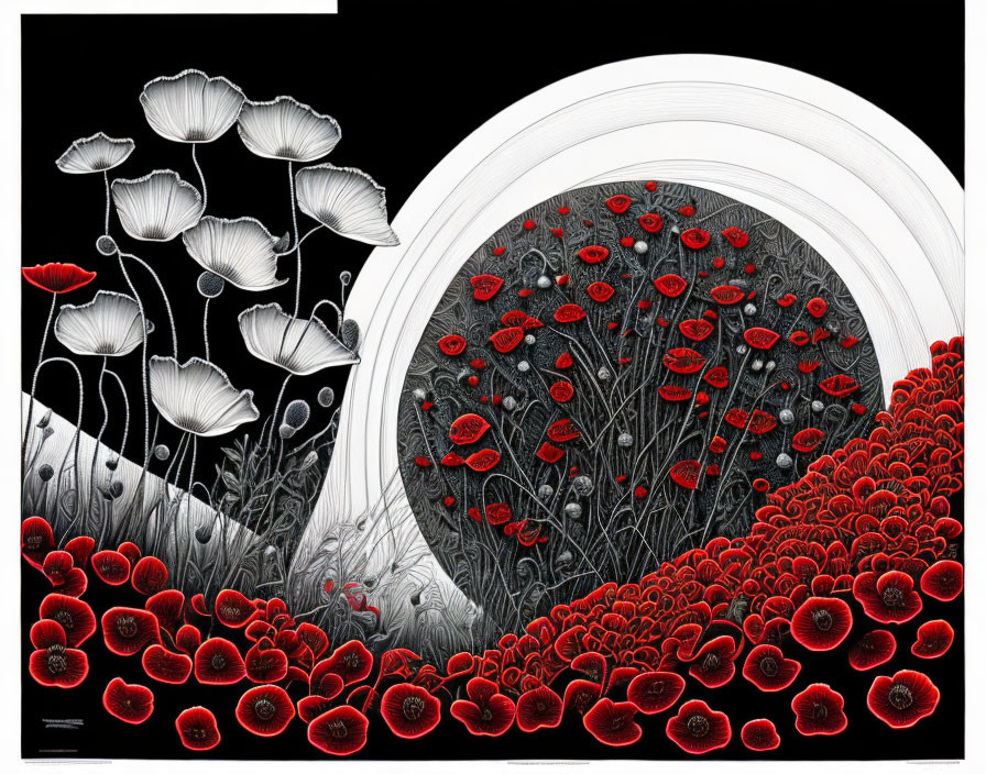 Monochrome illustration of poppy field with red accent