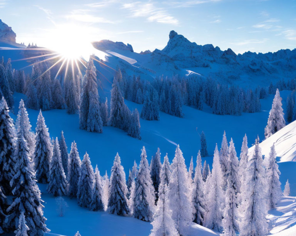 Snowy Mountain Landscape with Sunlit Frost-Covered Trees at Sunrise