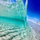 Colorful coral and fish in vibrant underwater scene