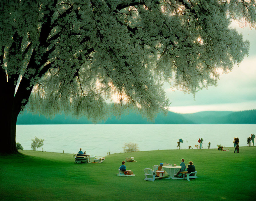 Tranquil Lakeside Scene with Blossoming Tree and Relaxing People