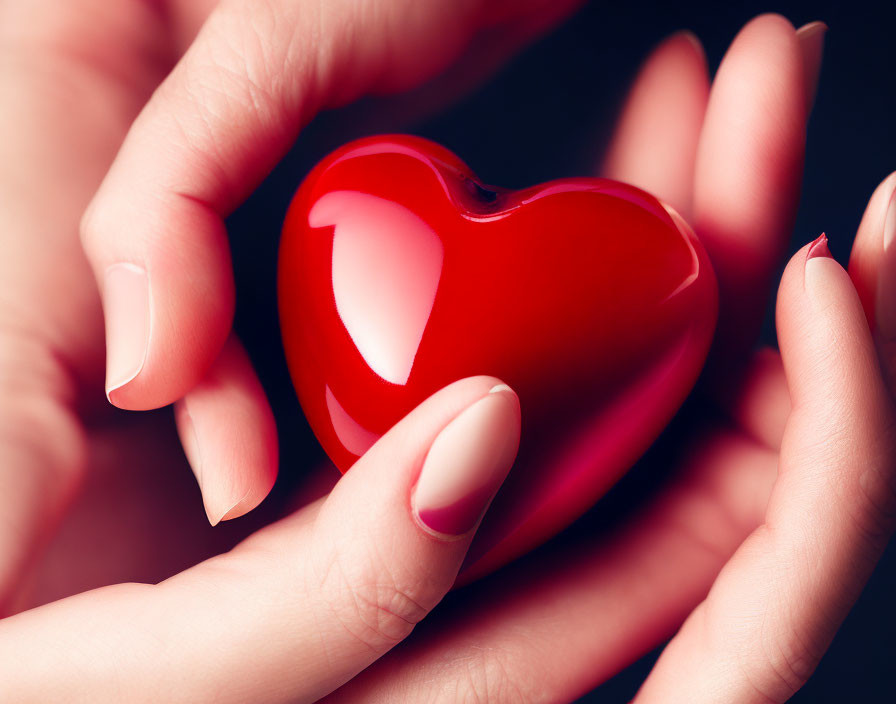 Manicured hands holding red heart on dark background