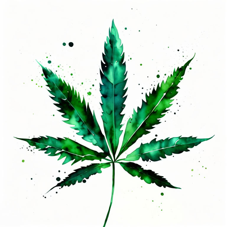 Green cannabis leaf with watercolor splashes on white background