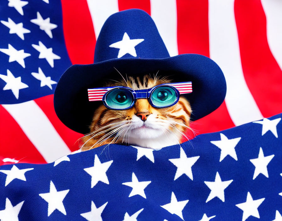 Cat in Blue Cowboy Hat & Patriotic Sunglasses Wrapped in American Flag