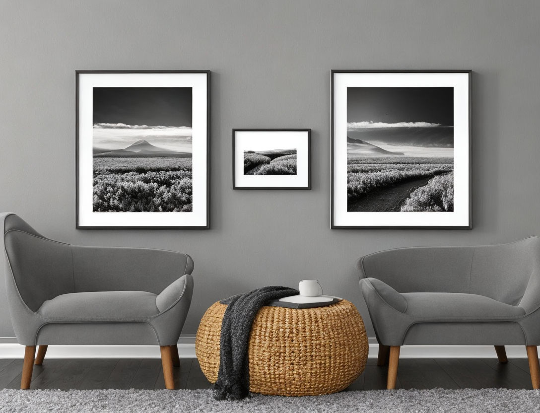 Minimalist Gray Room with Landscape Photos, Armchairs, and Ottoman